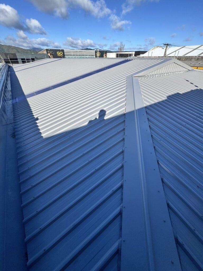 Large light-coloured multi-plane long-run metal roof in a Wellington commercial area